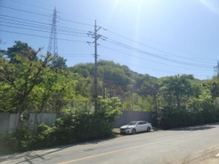 충청남도 천안시 동남구 삼룡동 41-16 임야 경매 사진 11