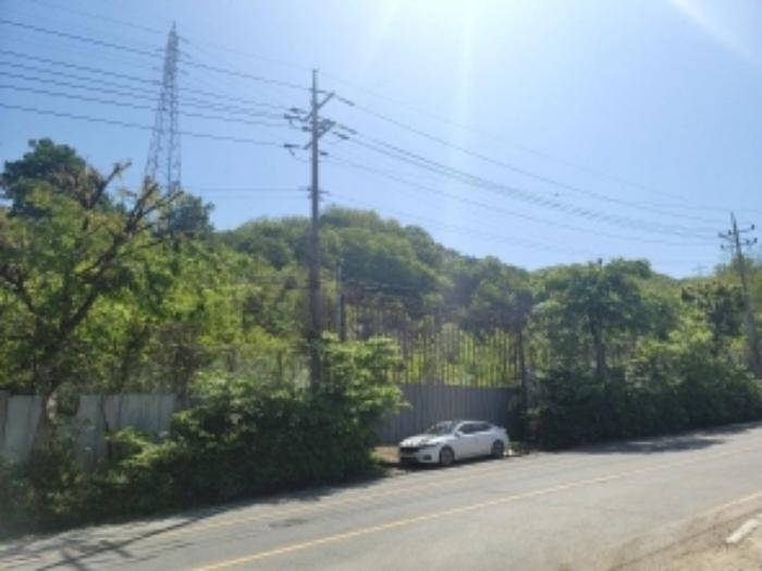 충청남도 천안시 동남구 삼룡동 41-16 임야 경매 사진 12