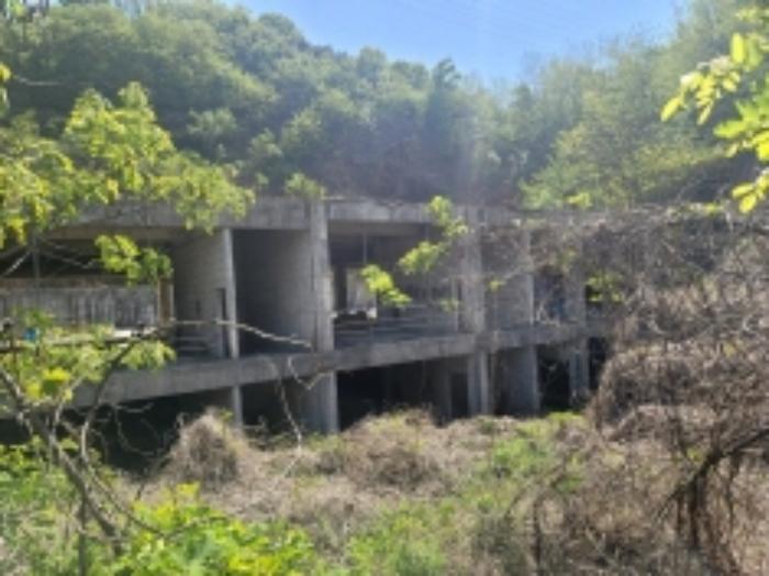 충청남도 천안시 동남구 삼룡동 41-16 임야 경매 사진 15
