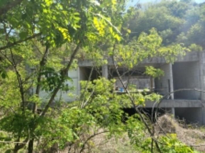 충청남도 천안시 동남구 삼룡동 41-16 임야 경매 사진 16