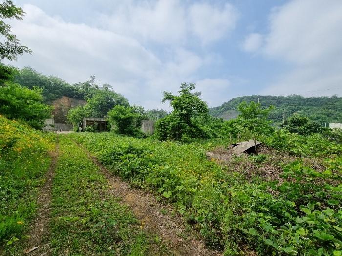 충청남도 천안시 동남구 삼룡동 41-16 임야 경매 사진 3