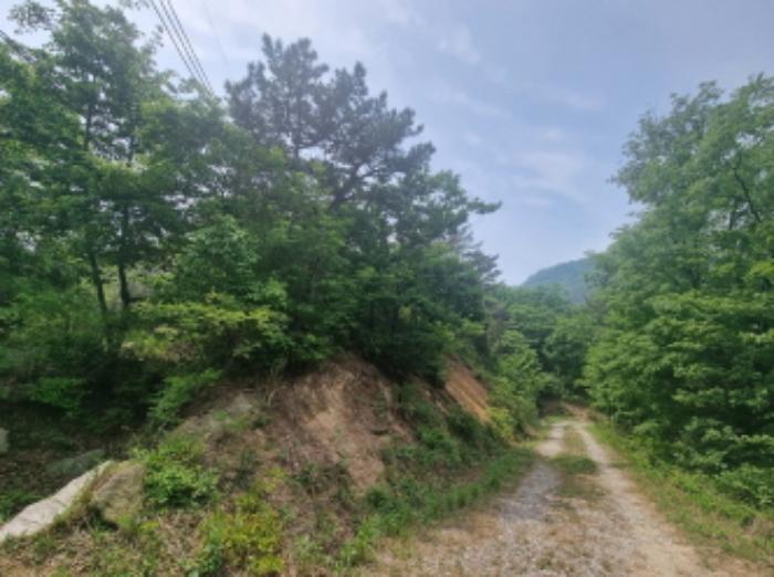 충청남도 아산시 영인면 상성리 산29-5 임야 경매 사진 10