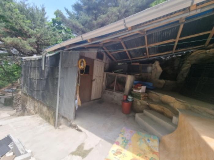 충청남도 아산시 영인면 상성리 산29-5 임야 경매 사진 15