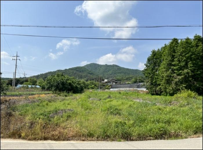 충청남도 아산시 영인면 상성리 산29-5 임야 경매 사진 5