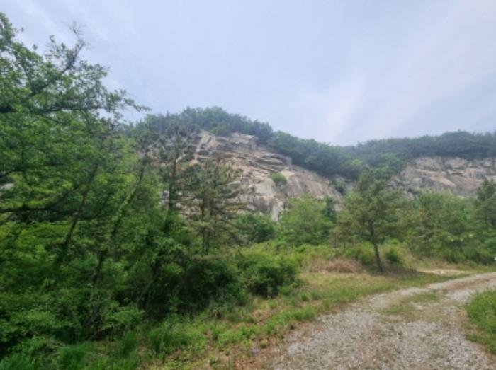 충청남도 아산시 영인면 상성리 산29-5 임야 경매 사진 8