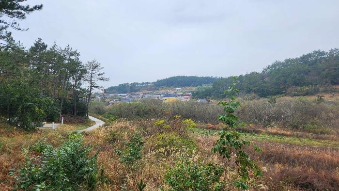 전라남도 완도군 노화읍 고막리 590 전 경매 사진 13