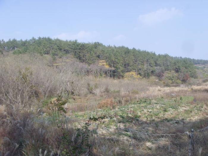 전라남도 완도군 노화읍 고막리 590 전 경매 사진 23