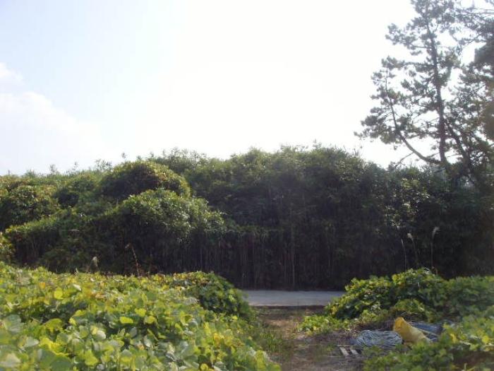 전라남도 완도군 노화읍 고막리 590 전 경매 사진 27