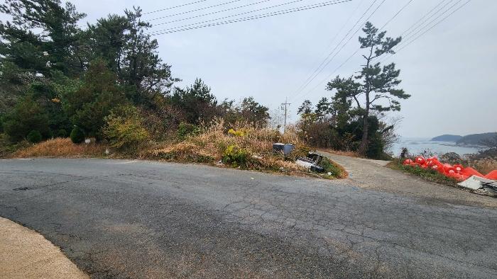 전라남도 완도군 노화읍 고막리 590 전 경매 사진 7