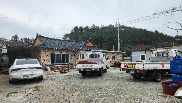 전라남도 완도군 노화읍 고막리 590 전 경매 사진 8