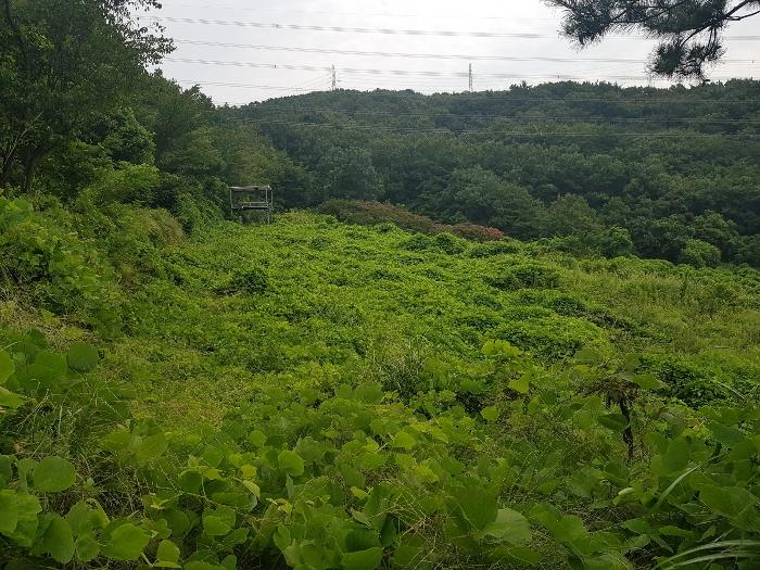 경상남도 양산시 동면 가산리 483-2 임야 경매 사진 1
