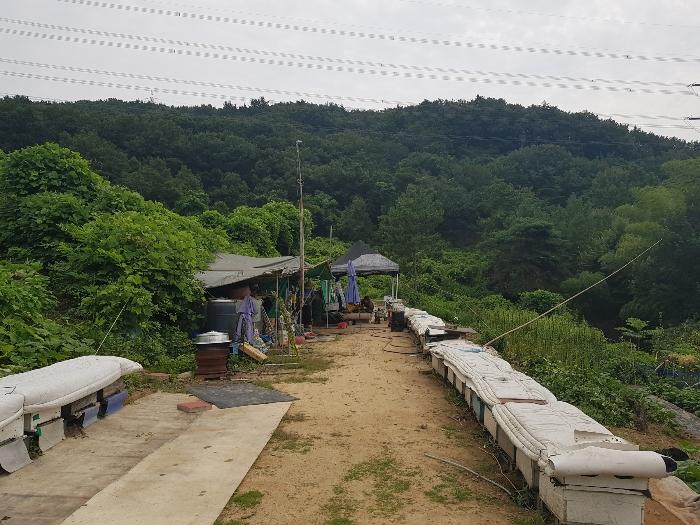 경상남도 양산시 동면 가산리 483-2 임야 경매 사진 10
