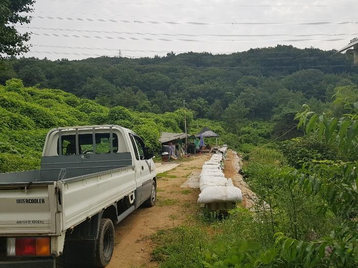 경상남도 양산시 동면 가산리 483-2 임야 경매 사진 2