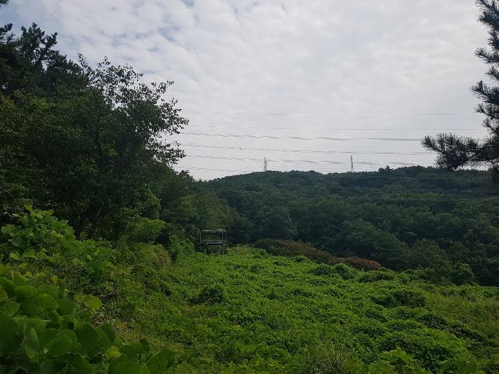 경상남도 양산시 동면 가산리 483-2 임야 경매 사진 4