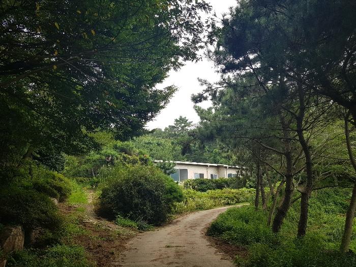 경상남도 양산시 동면 가산리 483-2 임야 경매 사진 6