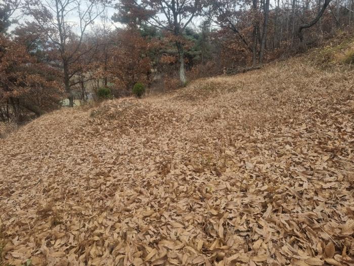 경상남도 함안군 칠북면 화천리 86-5 전 경매 사진 3