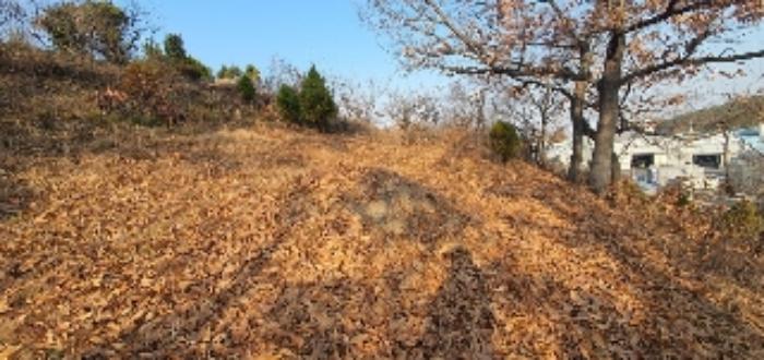 경상남도 함안군 칠북면 화천리 86-5 전 경매 사진 8