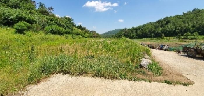 충청북도 옥천군 군서면 월전리 96 전 경매 사진 13