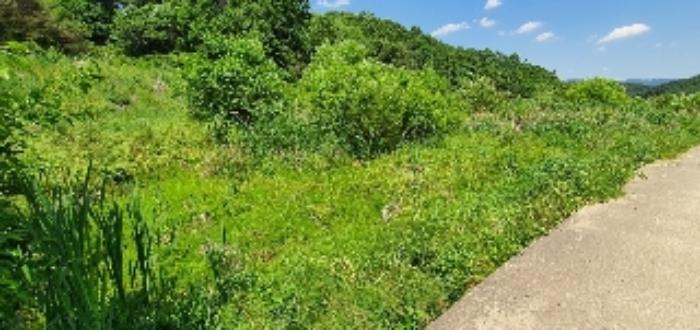충청북도 옥천군 군서면 월전리 96 전 경매 사진 17