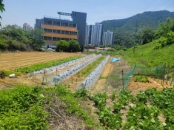 경상남도 통영시 광도면 죽림리 1216-2 답 경매 사진 19