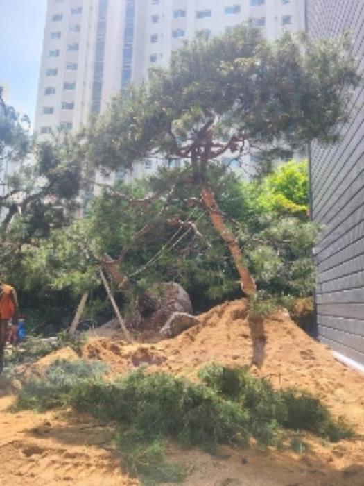 광주광역시 남구 대남대로 49, 에이동 지하층 비101호 (방림동,천진시그니처오피스텔)구) 광주광역시 남구 방림동 119-3 오피스텔 경매 사진 23