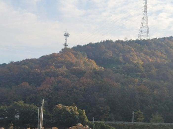 경상남도 통영시 광도면 황리 1063-1 과수원 경매 사진 12