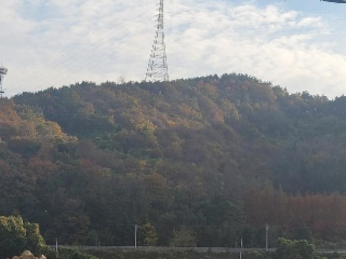 경상남도 통영시 광도면 황리 1063-1 과수원 경매 사진 13