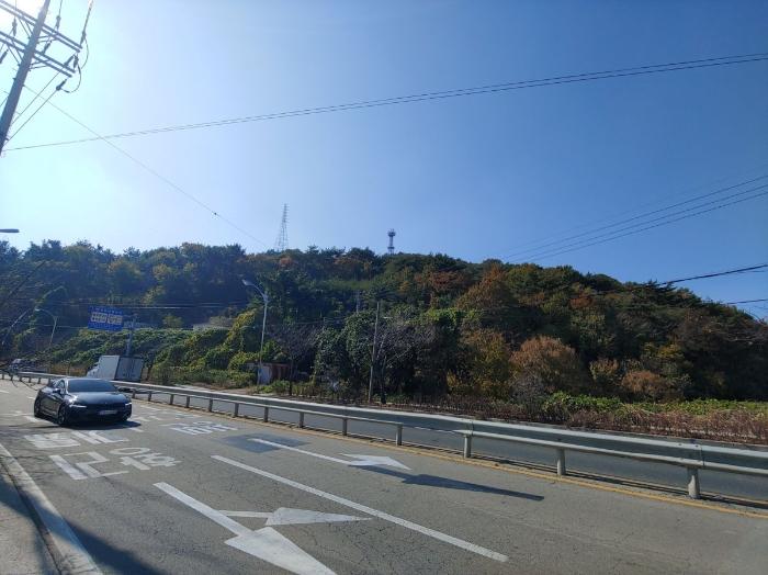 경상남도 통영시 광도면 황리 1063-1 과수원 경매 사진 8