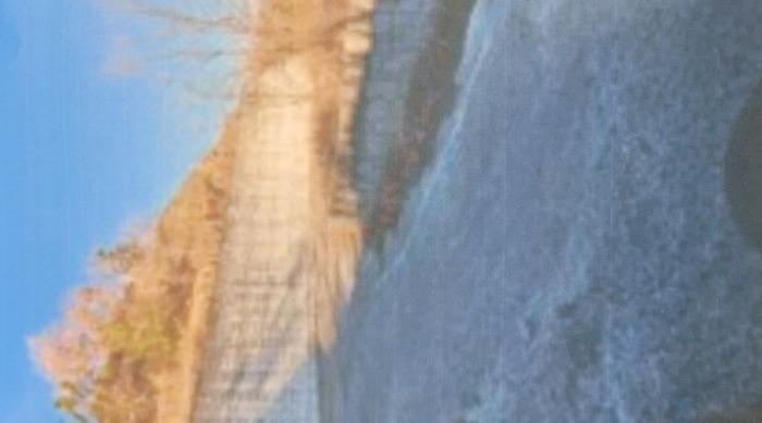 경상북도 경산시 와촌면 박사리 산5 임야 경매 사진 14