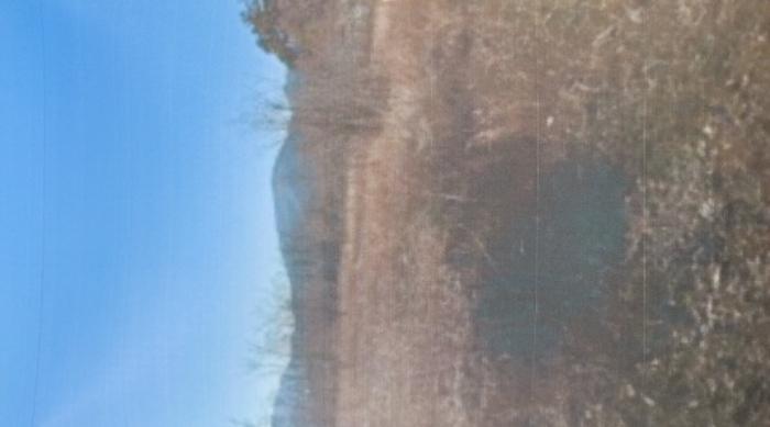 경상북도 경산시 와촌면 박사리 산5 임야 경매 사진 16
