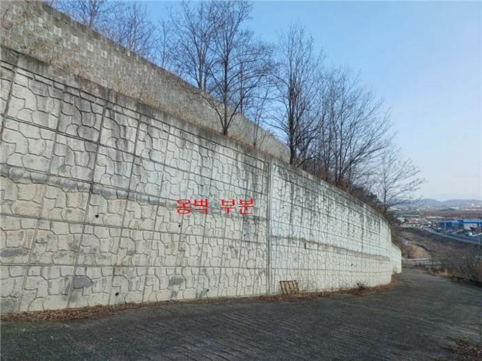 경상북도 경산시 와촌면 박사리 산5 임야 경매 사진 4