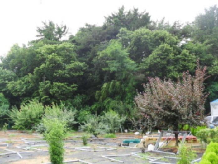 경상남도 남해군 설천면 비란리 100 답 경매 사진 41