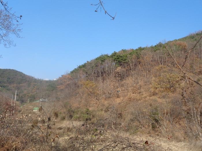전라남도 순천시 서면 구상리 산127 임야 경매 사진 1