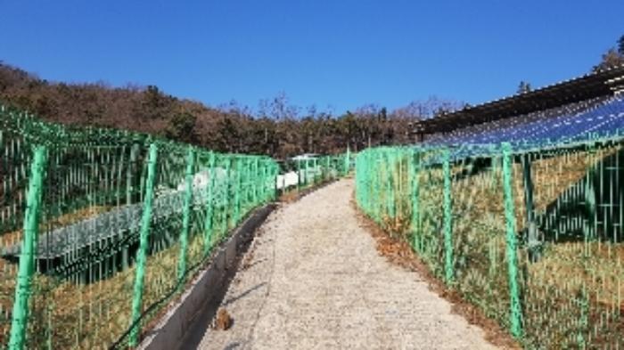 전라남도 순천시 서면 구상리 산127 임야 경매 사진 12