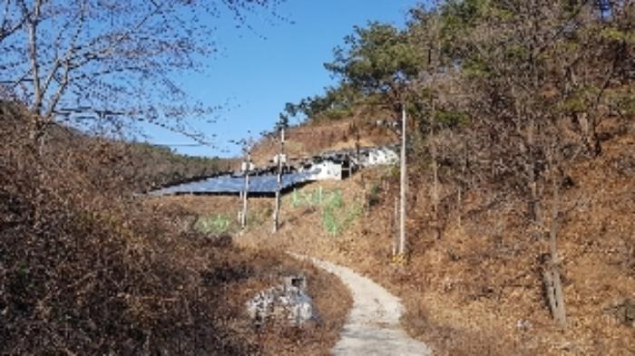 전라남도 순천시 서면 구상리 산127 임야 경매 사진 14