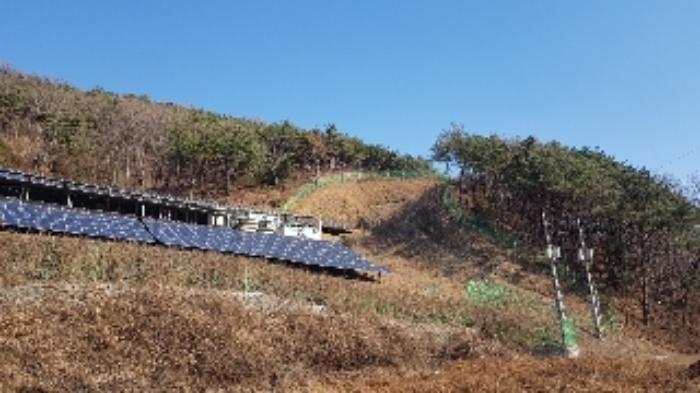전라남도 순천시 서면 구상리 산127 임야 경매 사진 17