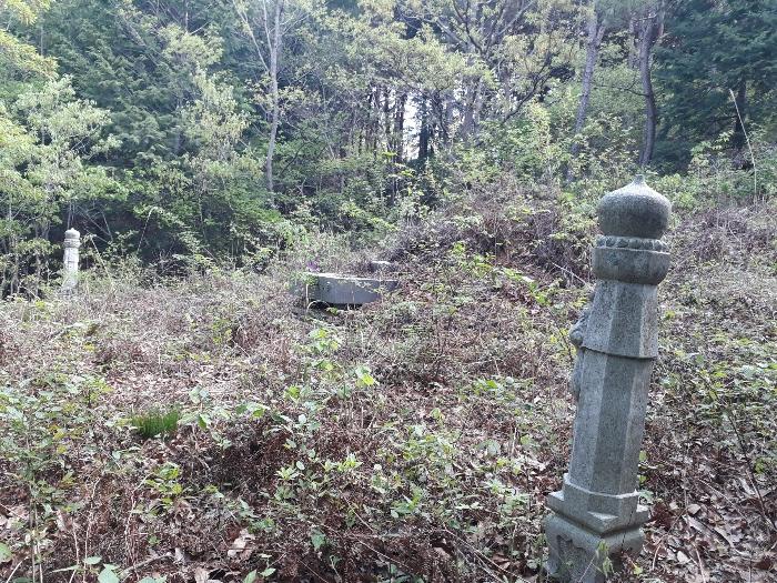 전라남도 보성군 미력면 용정리 산120 임야 경매 사진 2