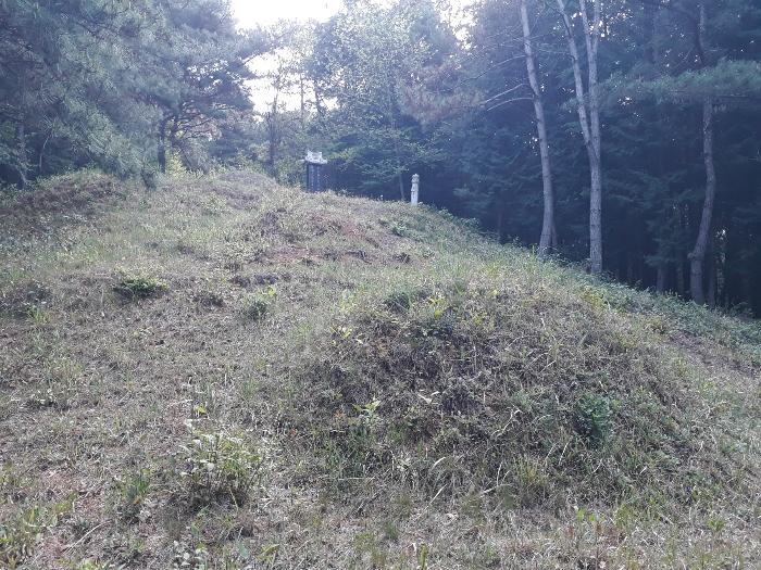 전라남도 보성군 미력면 용정리 산120 임야 경매 사진 6