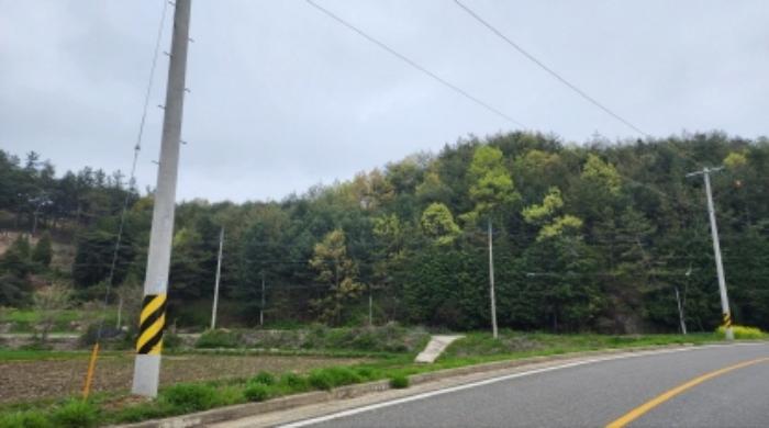 전라남도 보성군 미력면 용정리 산120 임야 경매 사진 7