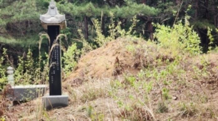 전라남도 보성군 미력면 용정리 산120 임야 경매 사진 9