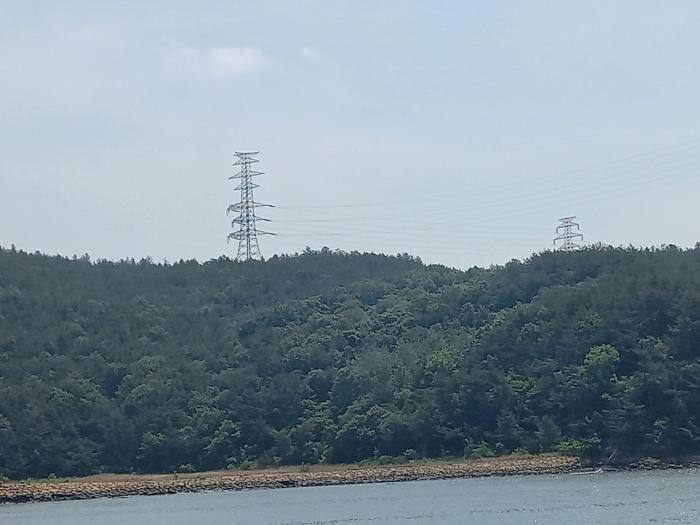 전남 광양시 임야