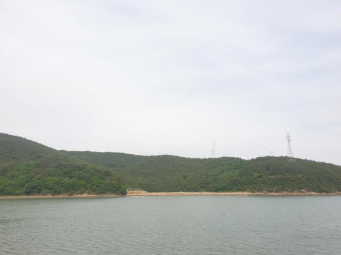 전라남도 광양시 진월면 망덕리 산139-17 임야 경매 사진 2
