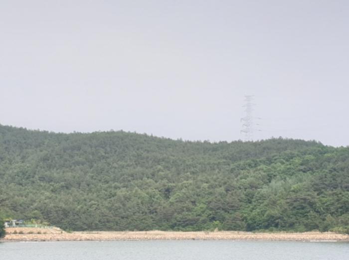 전라남도 광양시 진월면 망덕리 산139-17 임야 경매 사진 3