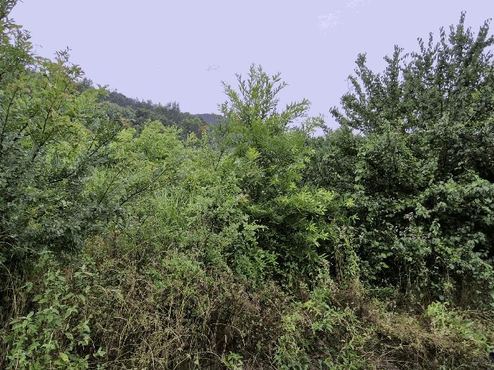 경남 밀양시 답