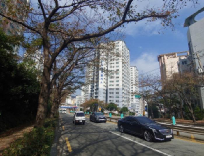 경상남도 거제시 거제대로 3696, 103동 2층203호 (옥포동,미진타워펠리스)구) 경상남도 거제시 옥포동 556-11 아파트 경매 사진 4