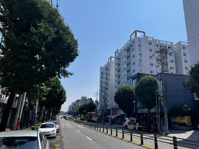 인천광역시 부평구 평천로 366, 비동 4층401호 (갈산동,스카이캐슬)구) 인천광역시 부평구 갈산동 41-9 오피스텔 경매 사진 4