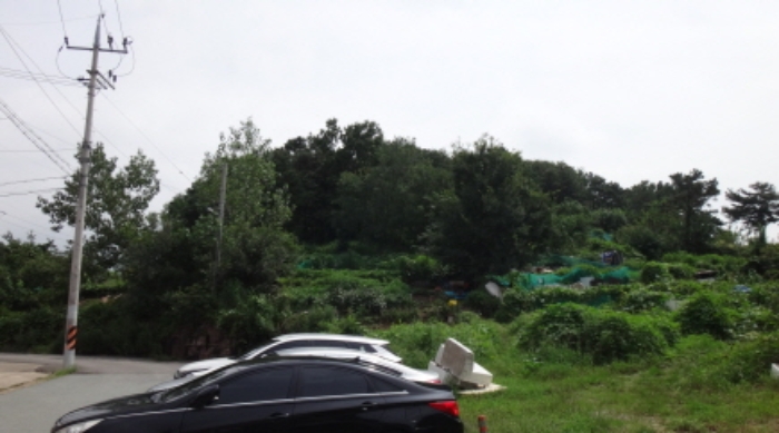 대구광역시 북구 복현동 산12 임야 경매 사진 10