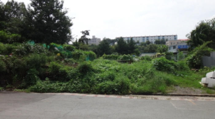 대구광역시 북구 복현동 산12 임야 경매 사진 11