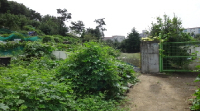 대구광역시 북구 복현동 산12 임야 경매 사진 12