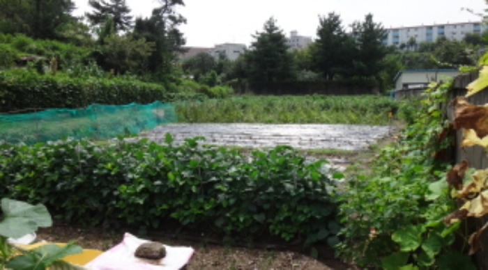 대구광역시 북구 복현동 산12 임야 경매 사진 13
